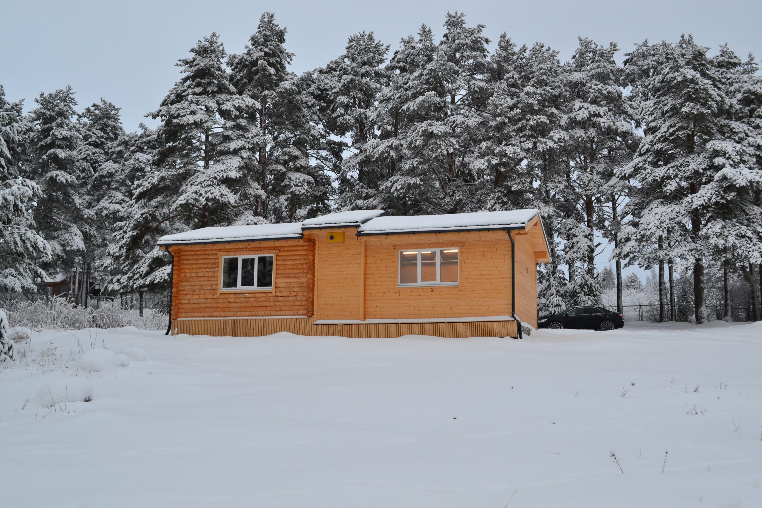 В ПетрГУ изучают эффективность "зеленых технологий" в домостроении на территории Арктики